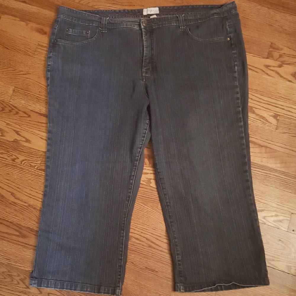 Venzia Capri Pants SZ 26